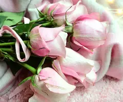 Boca Flower Shop | Доставка цветов Флорида - 1